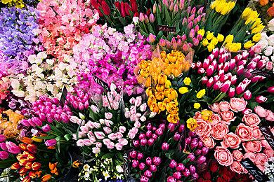 斯宾塞承认裁员是艰难决定 但Xbox前景将一片光明